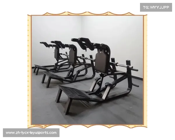 购置健身器材：如何购买健身器材？选购建议与市场推荐