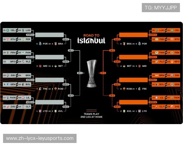 荷甲球队在欧冠中的表现与成绩